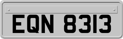 EQN8313