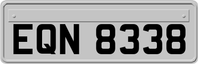 EQN8338