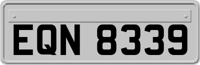 EQN8339