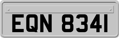 EQN8341