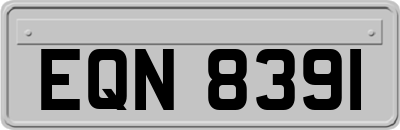 EQN8391