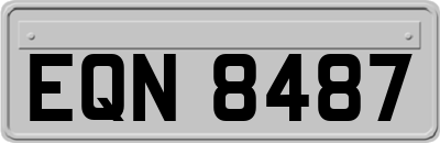 EQN8487