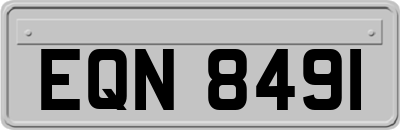EQN8491