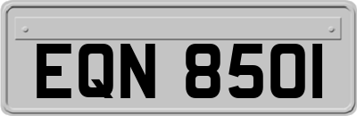 EQN8501