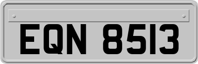 EQN8513