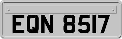 EQN8517