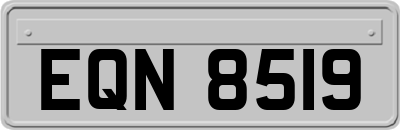 EQN8519