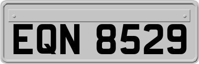 EQN8529
