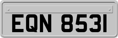 EQN8531
