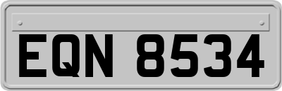 EQN8534