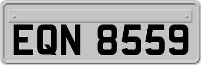 EQN8559
