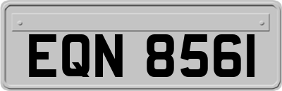 EQN8561
