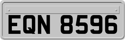 EQN8596