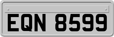 EQN8599