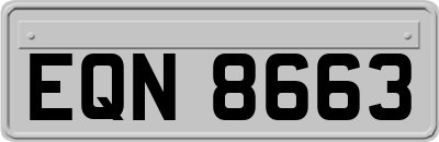 EQN8663