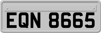 EQN8665
