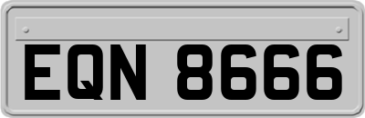 EQN8666