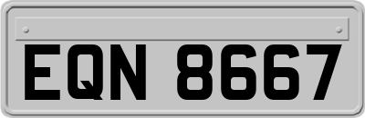 EQN8667