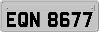 EQN8677