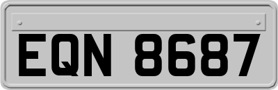 EQN8687