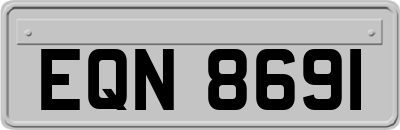 EQN8691