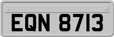 EQN8713