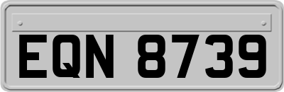 EQN8739