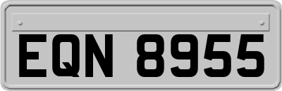 EQN8955
