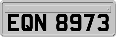 EQN8973