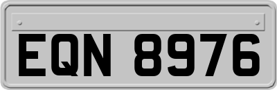EQN8976