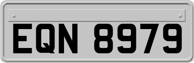 EQN8979