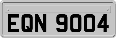 EQN9004