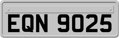 EQN9025