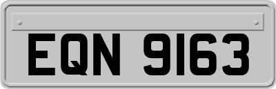 EQN9163