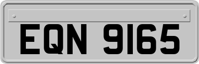 EQN9165
