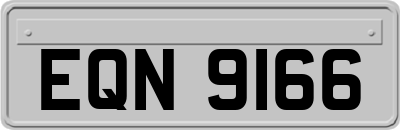 EQN9166