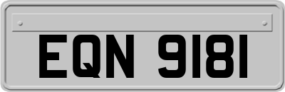 EQN9181