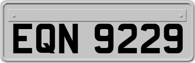 EQN9229