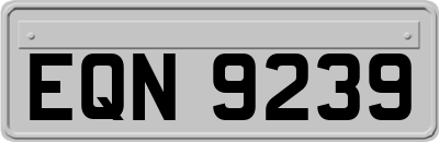 EQN9239