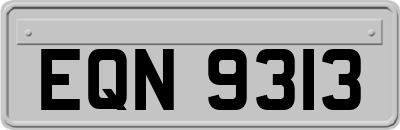 EQN9313