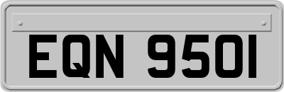 EQN9501