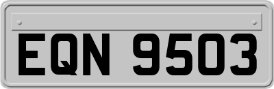 EQN9503