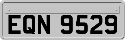 EQN9529