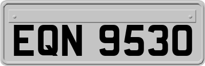 EQN9530