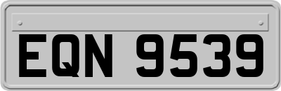 EQN9539