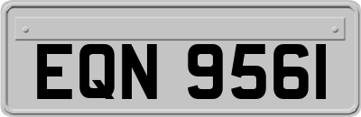 EQN9561
