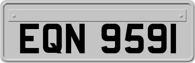 EQN9591