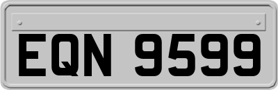 EQN9599