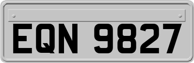 EQN9827