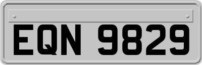 EQN9829